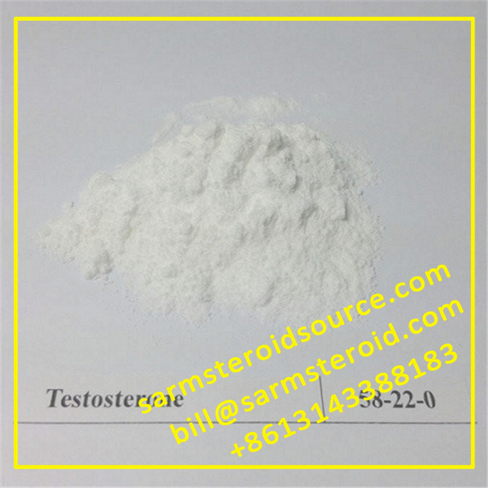 La testosterona Base Steroid Powder