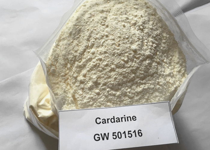 SARMs GW501516 / Cardarine Powder